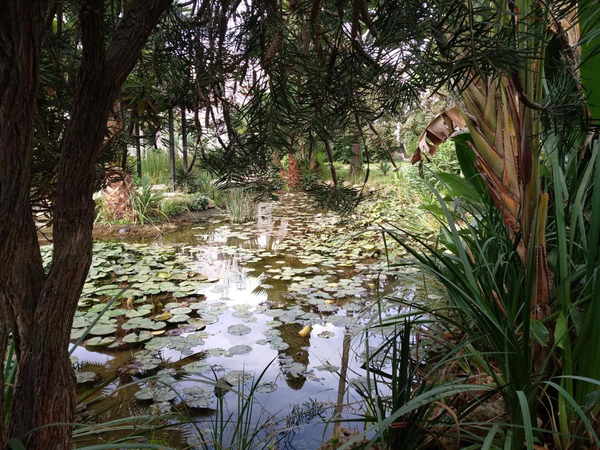 Mijas Golf Hoyo 16 Lägenhet Fuengirola Exteriör bild